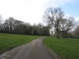 Sheethanger Common