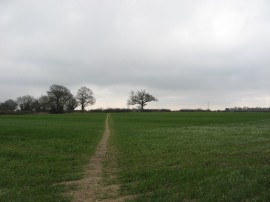 Field nr Flaunden