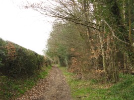 Old Shire Lane