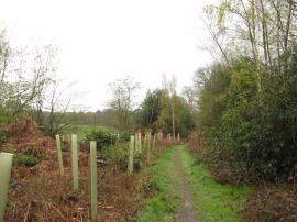 Path from Horsemoor Lane