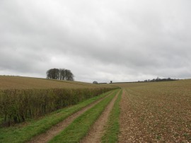 Path from Noakes Lane