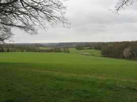 View nr Coppice Hoop