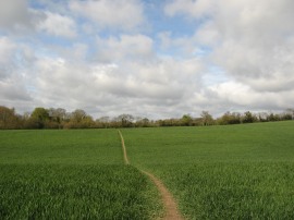 Field nr Wycombe Road
