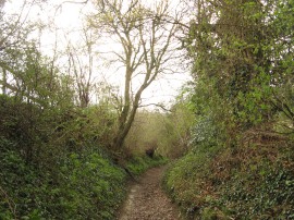Path from Seymour Court Lane