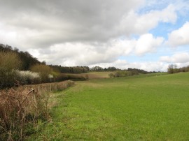 View from Mundaydean Lane