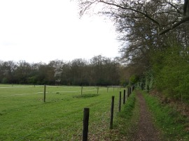 Approaching Davenport Wood