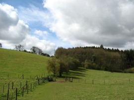 Heading towards Homefield Wood