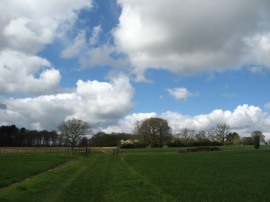 Path nr Rotten Row