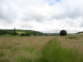 Field nr Skirmett