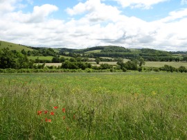 View back to Fingest Wood