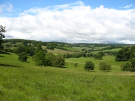 View from Stonor Deer Park