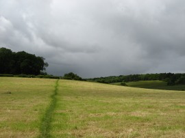 Heading up to Park Wood