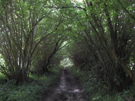 Path, Upper Maidensgrove