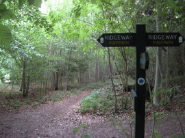 Crossing the Ridgeway