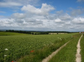 View over the Thames Valley