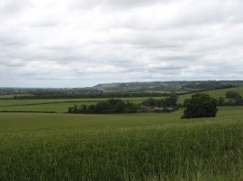 View from Swyncombe Downs