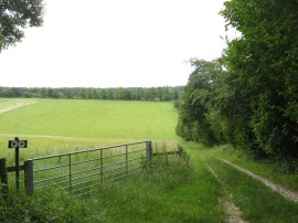 Approaching Swyncombe