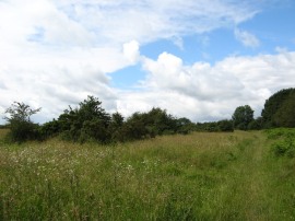 Ibstone Common