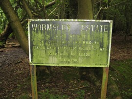 Estate  in Blackmore Wood