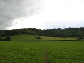 View towards Ibstone