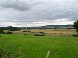 Saunderton Valley