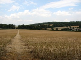 Heading down to Hampden Bottom