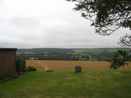 View back to Cockshoots Wood