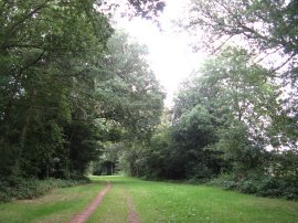 Path leading to Oak Lane