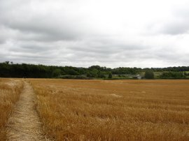 Approaching the A41