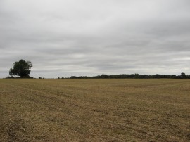 Field nr Hudnall
