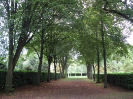 Whipsnade Tree Cathedral