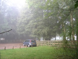 Parked up by the Tree Cathedral