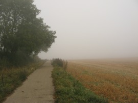 Path nr Dunstable