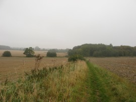 Heading towards Blue Waters wood