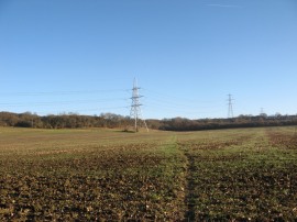 Chiltern Way nr Chalton