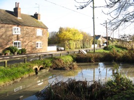 Streatley pond