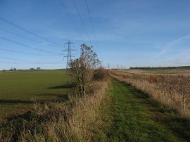 Path from the A6 nr Streatley