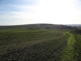 Crossing Galley Hill