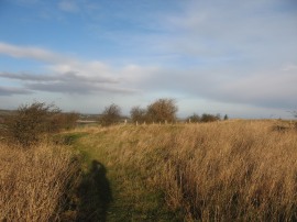 Warden Hill