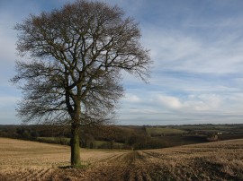 Approaching Lilley