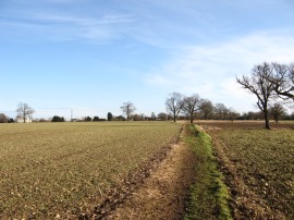 Approaching Breachwood Green