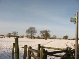 Start point at Breachwood Green