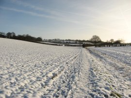 Fields nr Breachwood Green