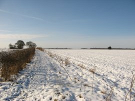 Fields heading down towards East Hyde