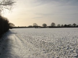 Fields Nr Harpenden