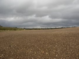 A rather muddy field to cross