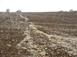 Another flooded field