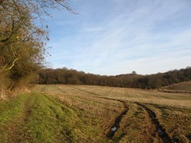 Approaching Gernon Bushes