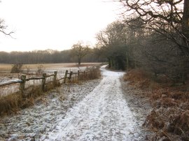 Path besides Posterniane Spring