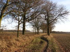 Heading towards Toot Hill